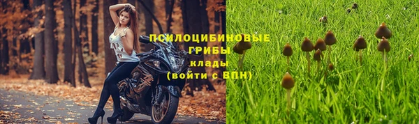стаф Абдулино