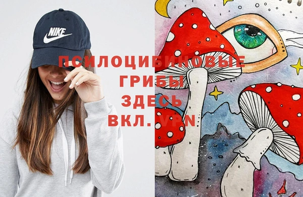 стаф Абдулино