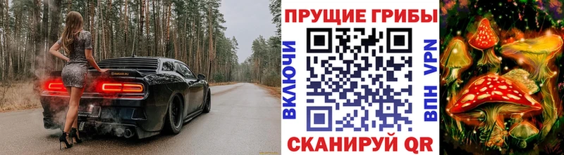 Галлюциногенные грибы Cubensis где продают наркотики Нелидово